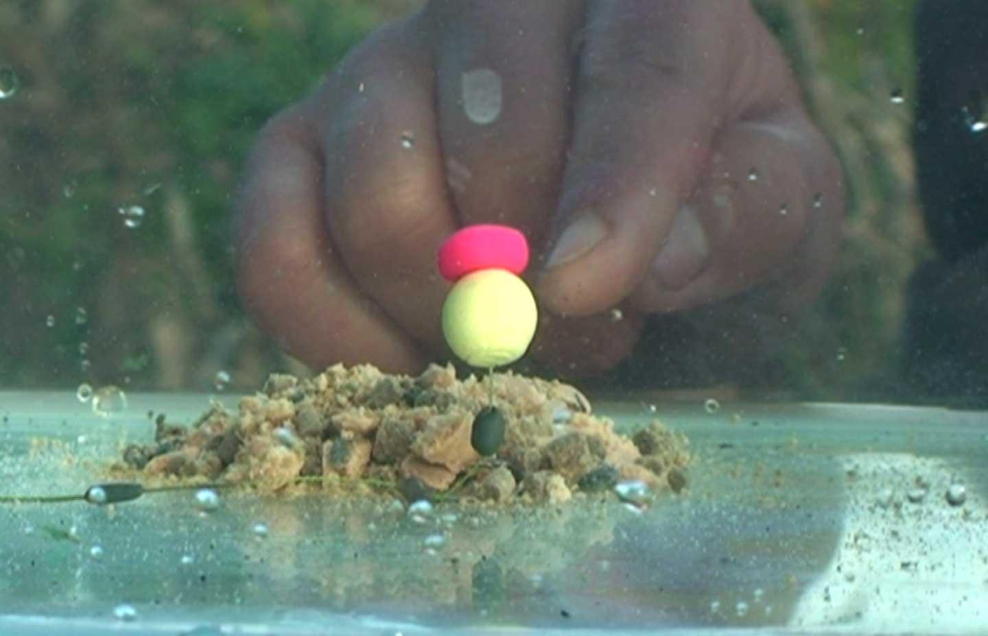 Pescuit - pop-up-carp-fishing.jpg